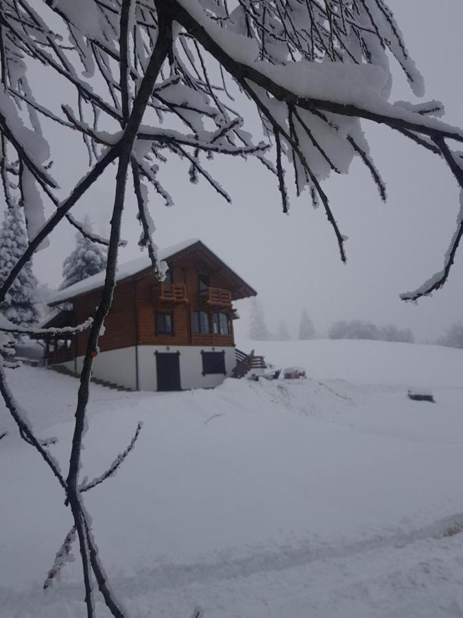 Tulean Cabin Săcel Exterior photo