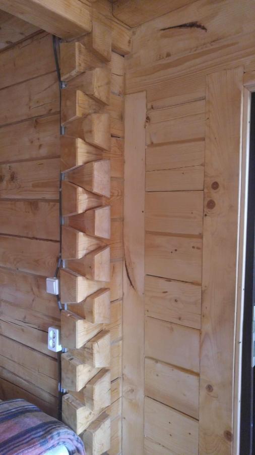 Tulean Cabin Săcel Exterior photo