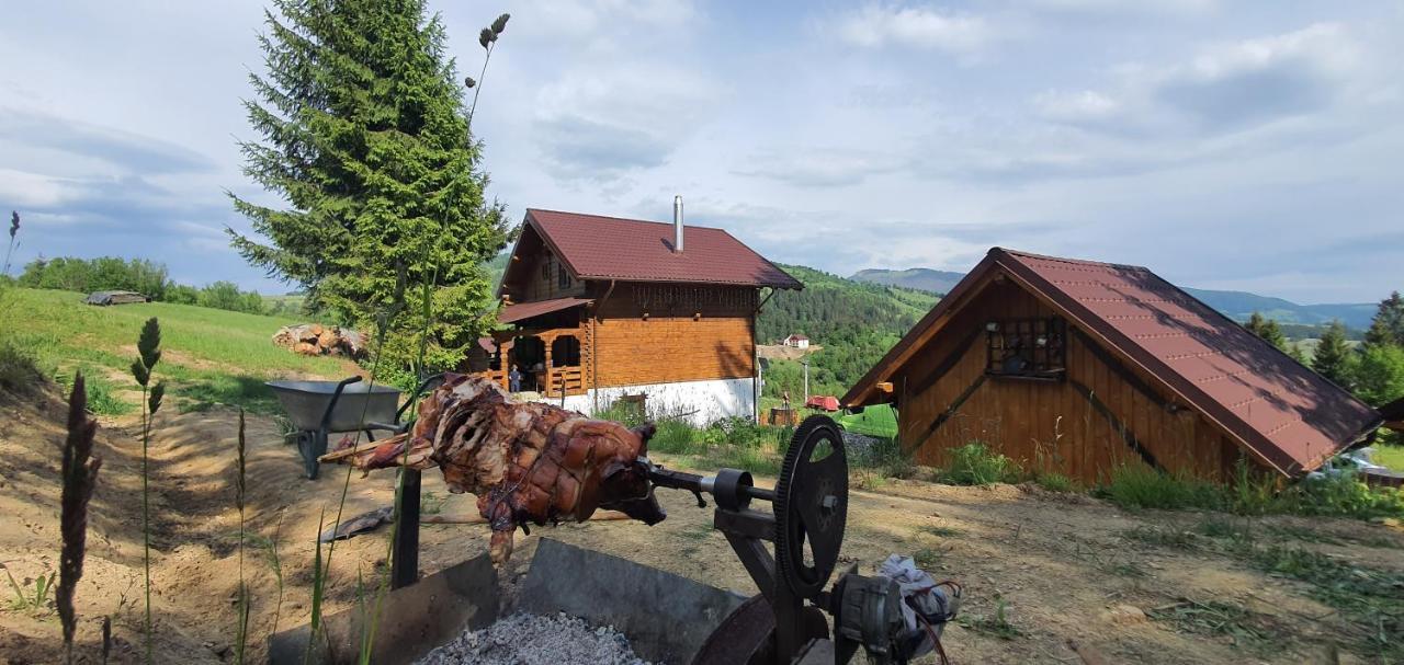 Tulean Cabin Săcel Exterior photo